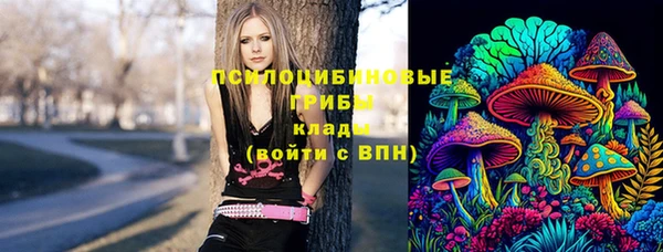 не бодяженный Нефтегорск