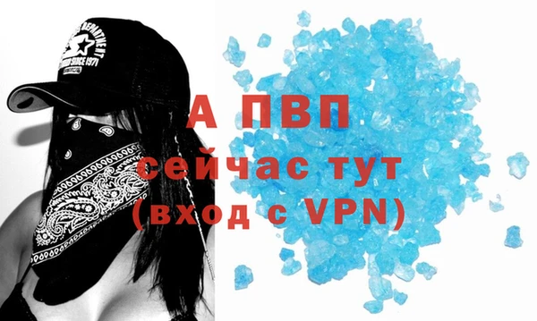 прущие грибы Бердск