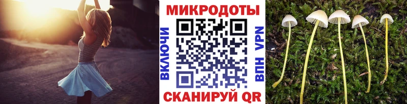 Галлюциногенные грибы Magic Shrooms MEGA ONION Кирсанов