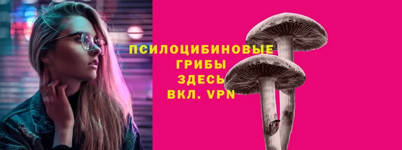 Галлюциногенные грибы Psilocybine cubensis  blacksprut ТОР  Кирсанов 