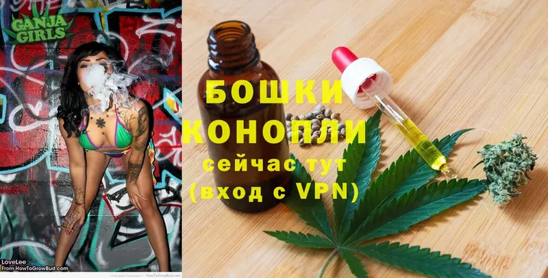 продажа наркотиков  Кирсанов  Шишки марихуана THC 21% 